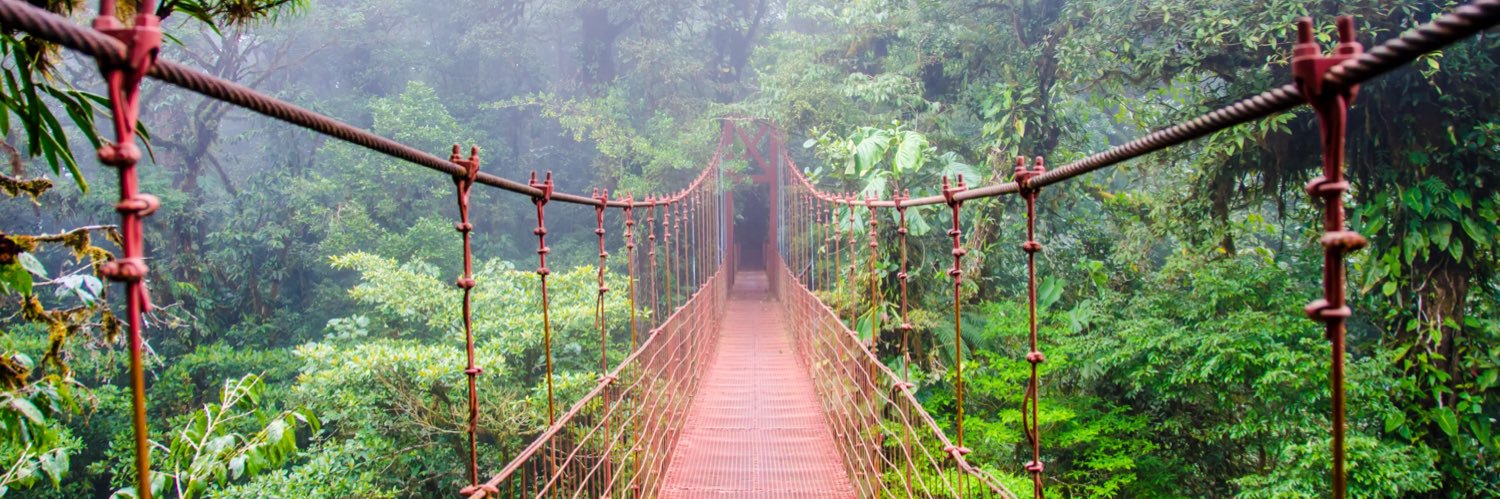 Alberto. Sin domesticar. banner