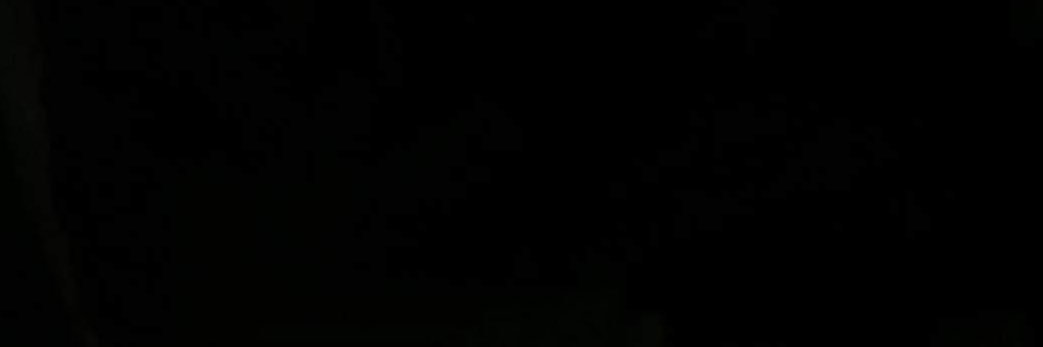 BullcockPapi's profile banner image