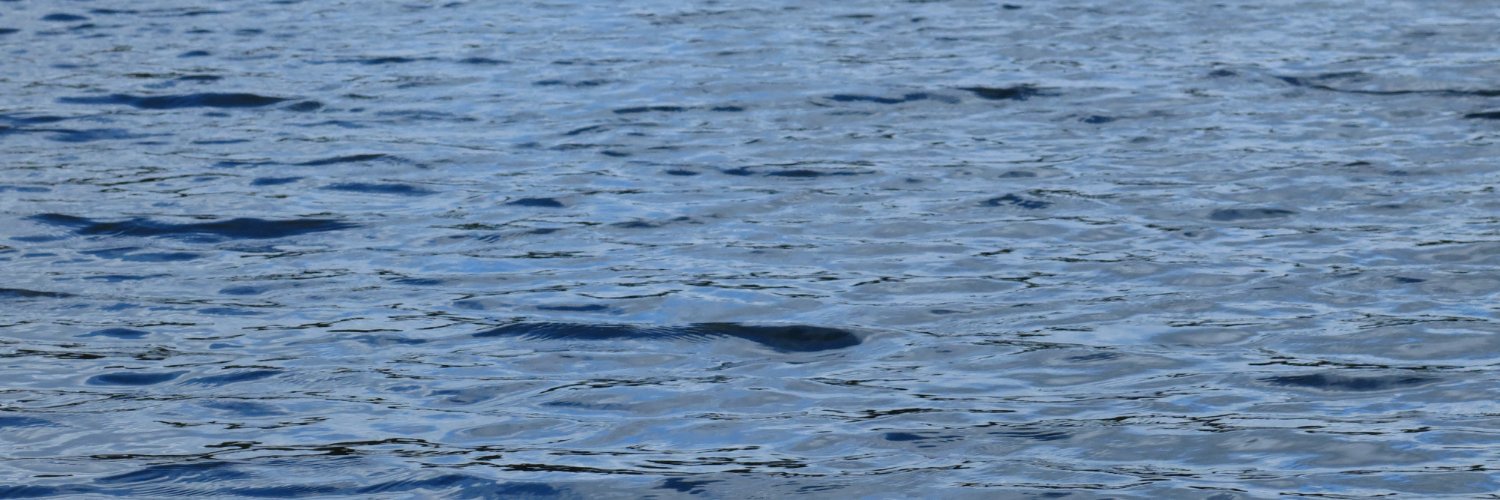 Обработка макроданных 👁 banner