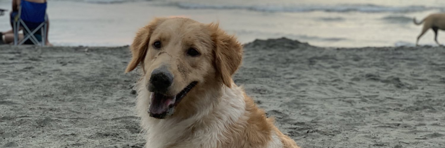 onixnedel's profile banner image