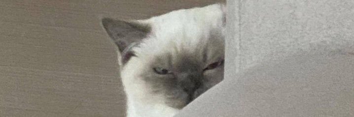 phammo__'s profile banner image