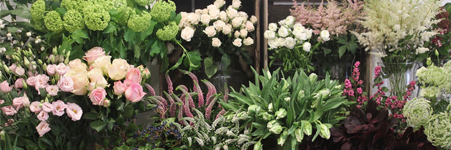 TheFlowerShopBr's profile banner image