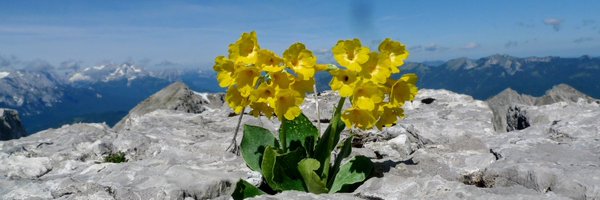 finck_m Profile Banner