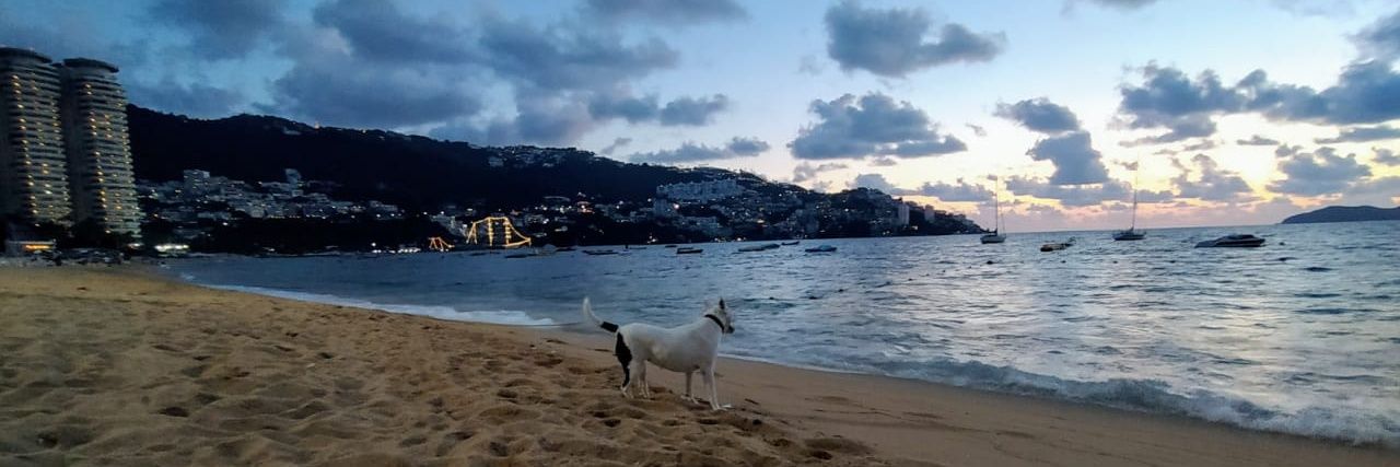 $AD BOY Chris banner