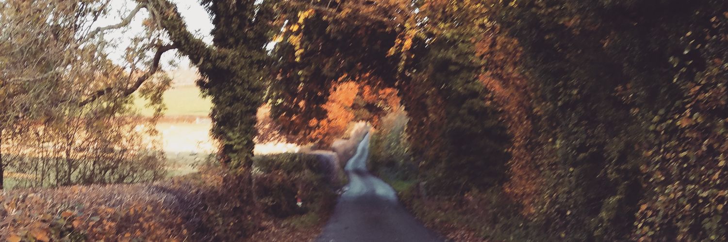 RoxySew's profile banner image