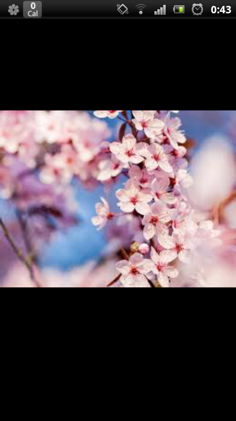 linacortes84's profile banner image