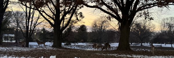homohoedown Profile Banner