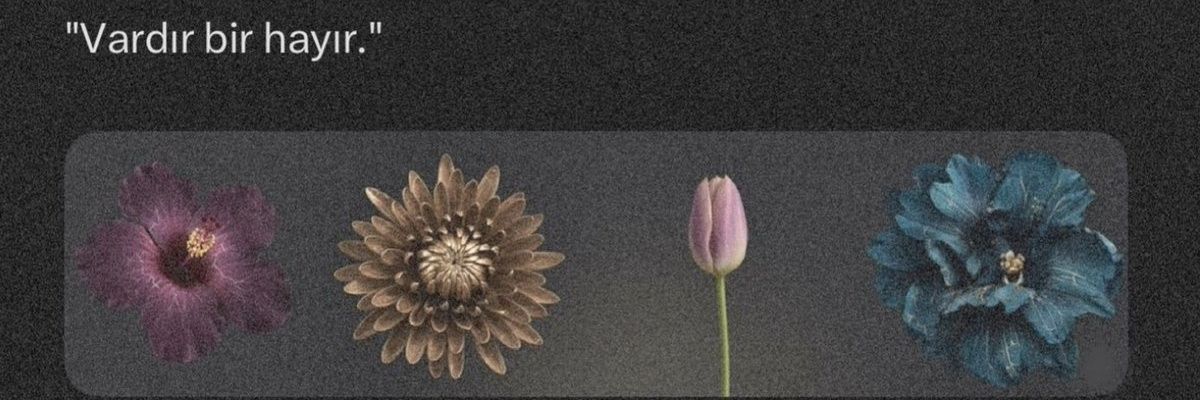 sureyyaysr's profile banner image