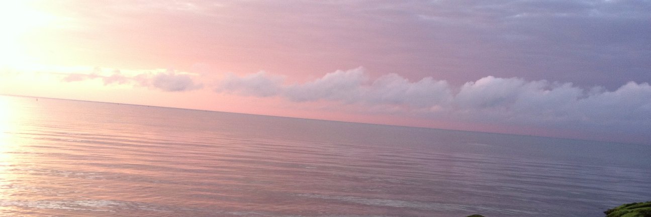 HollyMiller811's profile banner image