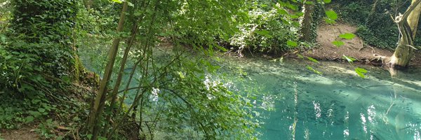 silverstrandfr Profile Banner