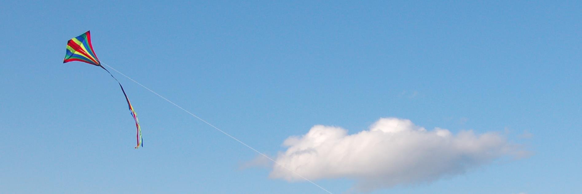 Susie Douglas banner