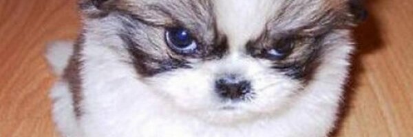 trooperbill Profile Banner