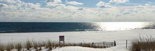 Scott mayes 🇺🇸🏌️👨🏻‍🍳💡 banner