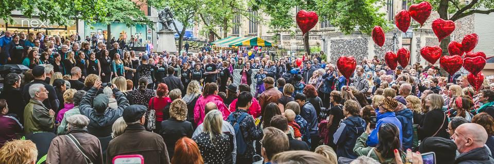 Invidia Voices banner