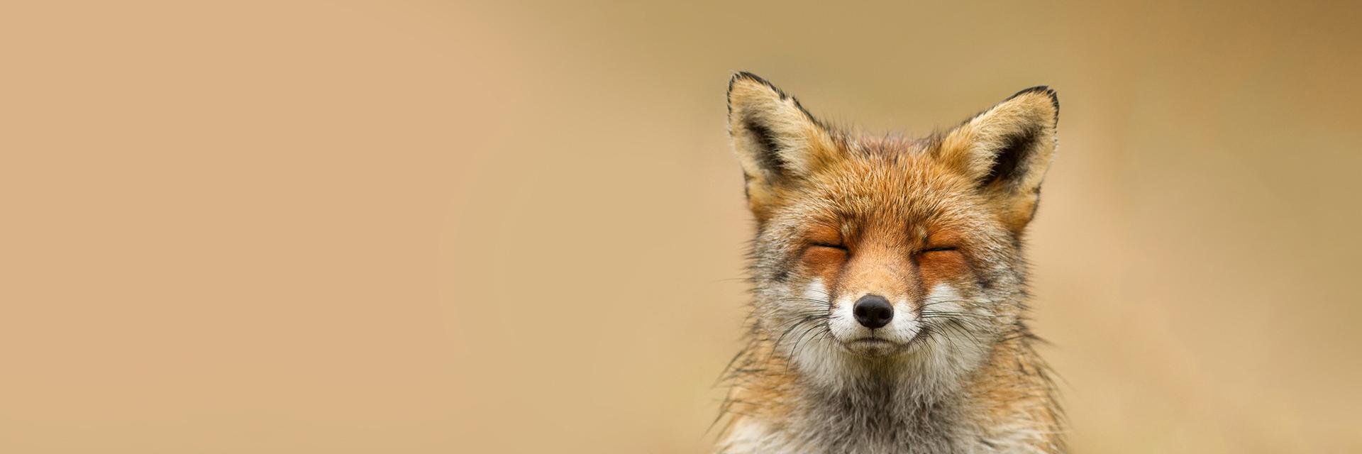 Guntis_G's profile banner image