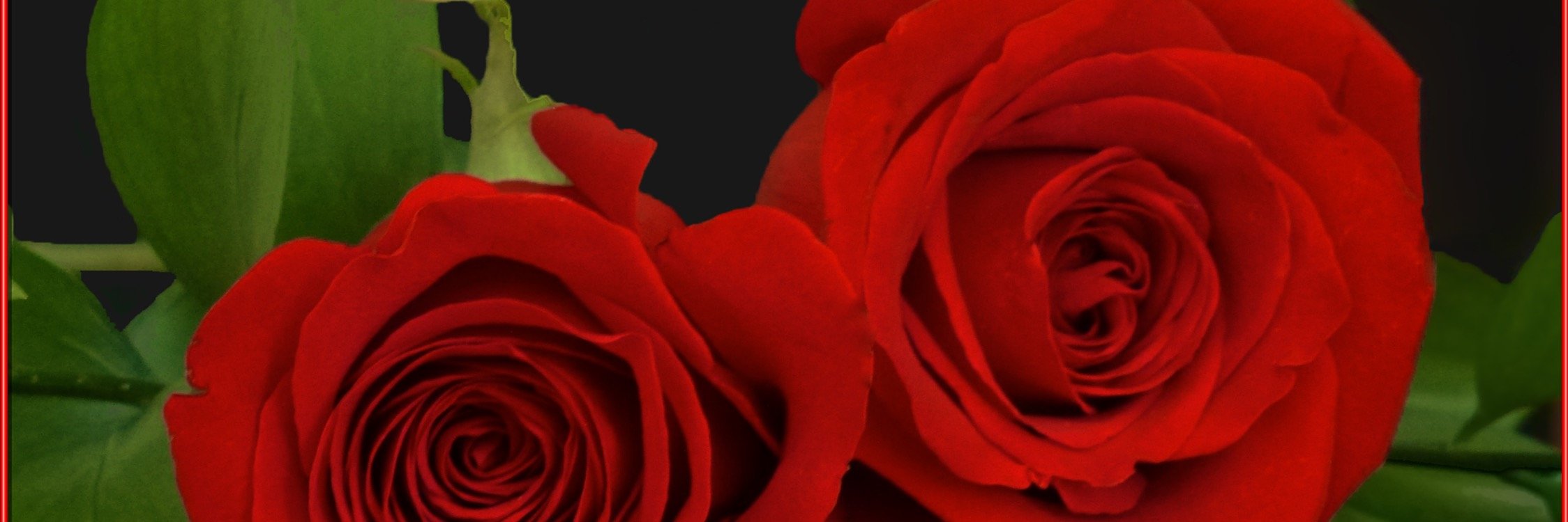KatiaMaria's profile banner image