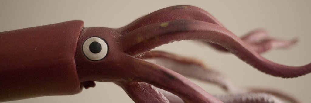 The Squid List (R.I.P.) (@SquidList) / Posts / X