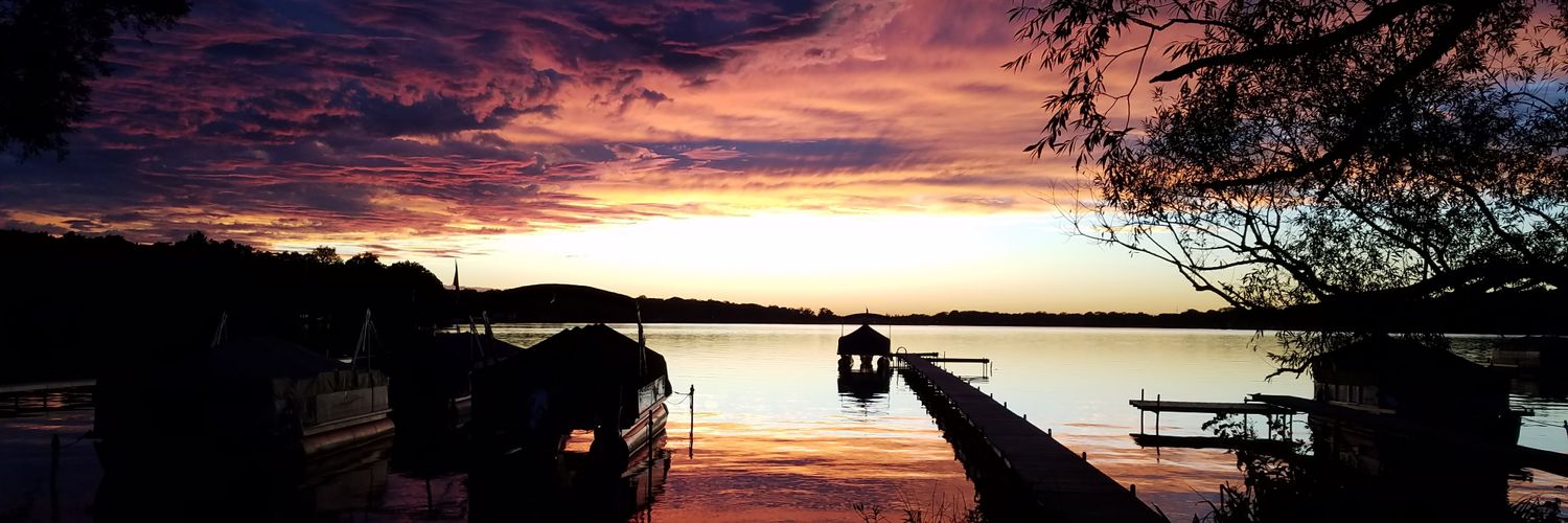 ann clemenson banner