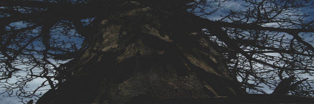 NatureDux's profile banner image