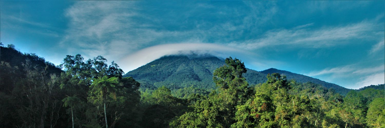 Septian Adi♠ banner