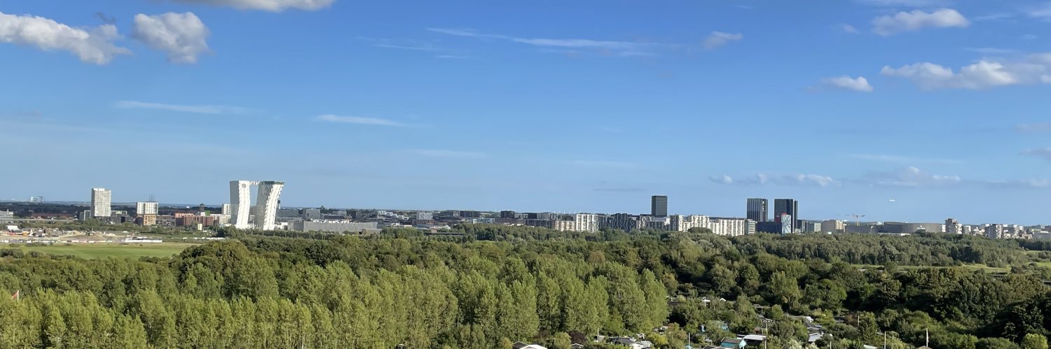 Niko Grünfeld banner