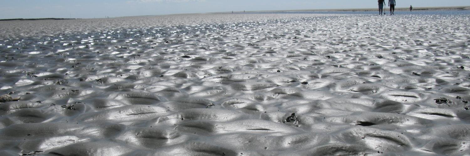 @mflatten@mastodon.social banner