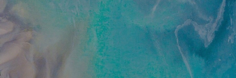 Goyotan banner