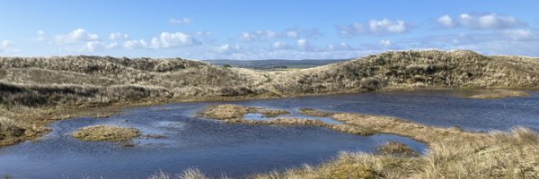 lindisfarne_nnr Profile Banner