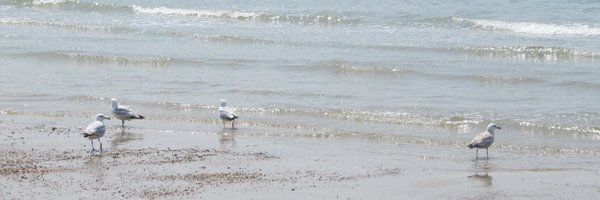 JeanneSpooky Profile Banner