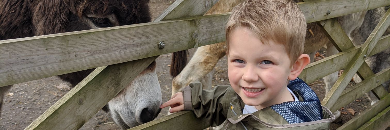 Ashleigh Farrow banner