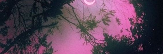 Potatoe banner