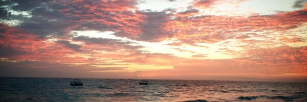 dml198 Profile Banner