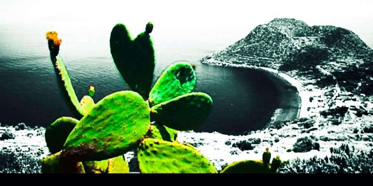 VitoCartafalsa's profile banner image
