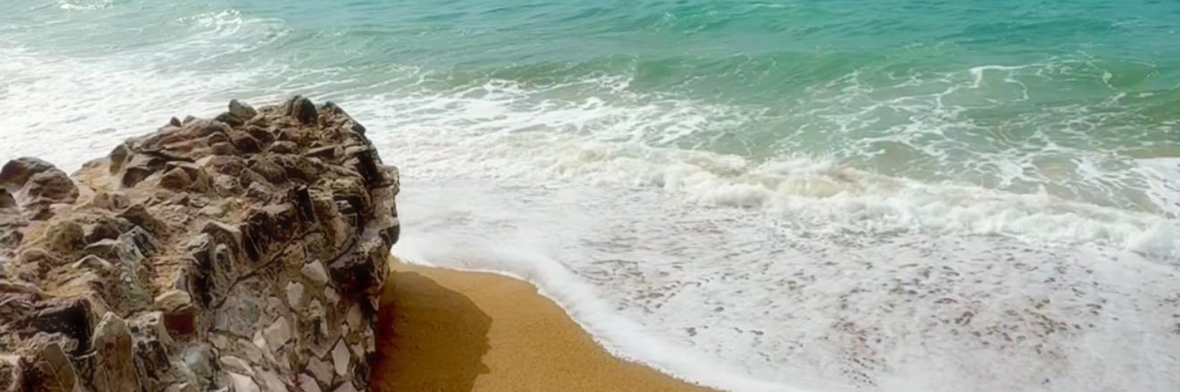 tialzar's profile banner image