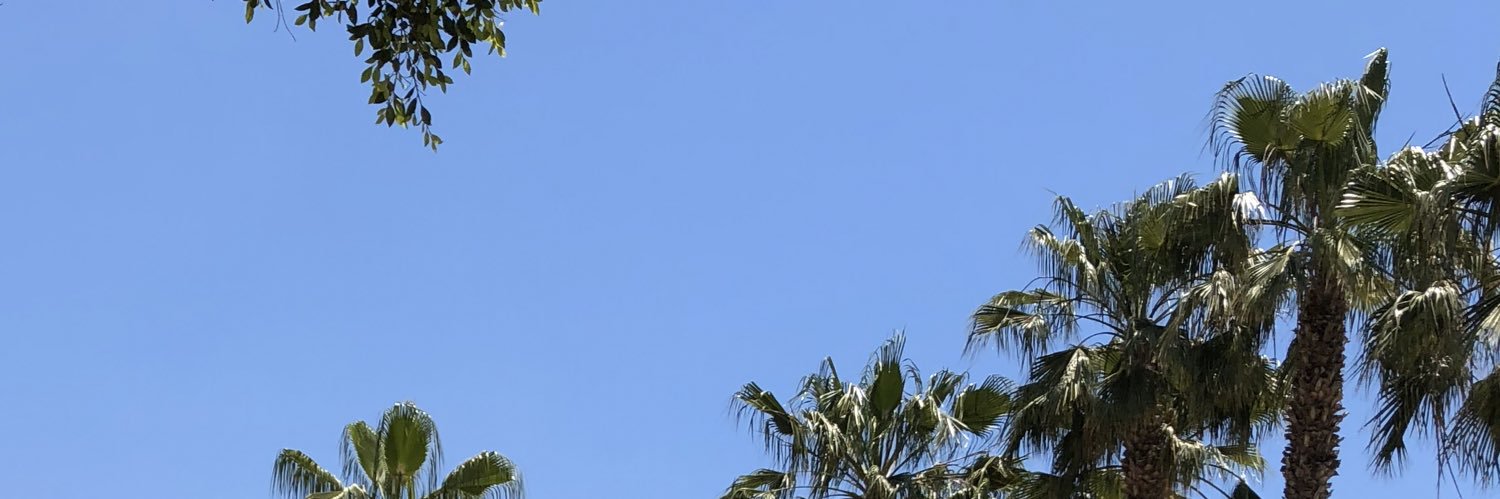 BchrValentine's profile banner image