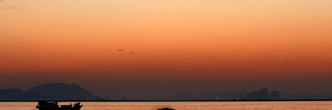 Samgyuii's profile banner image
