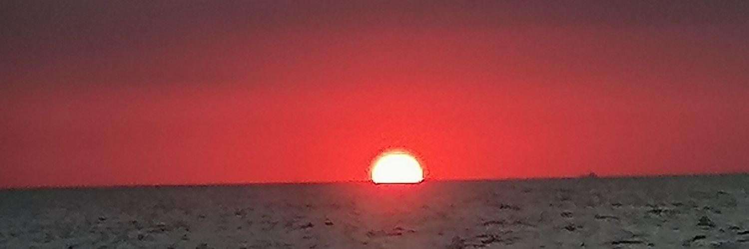 NurdanOnderoglu's profile banner image