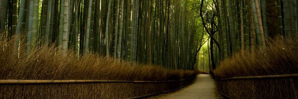 Jesster__ Profile Banner