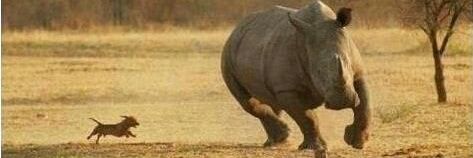 AfricanGypsy01's profile banner image