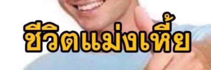 🦮 banner
