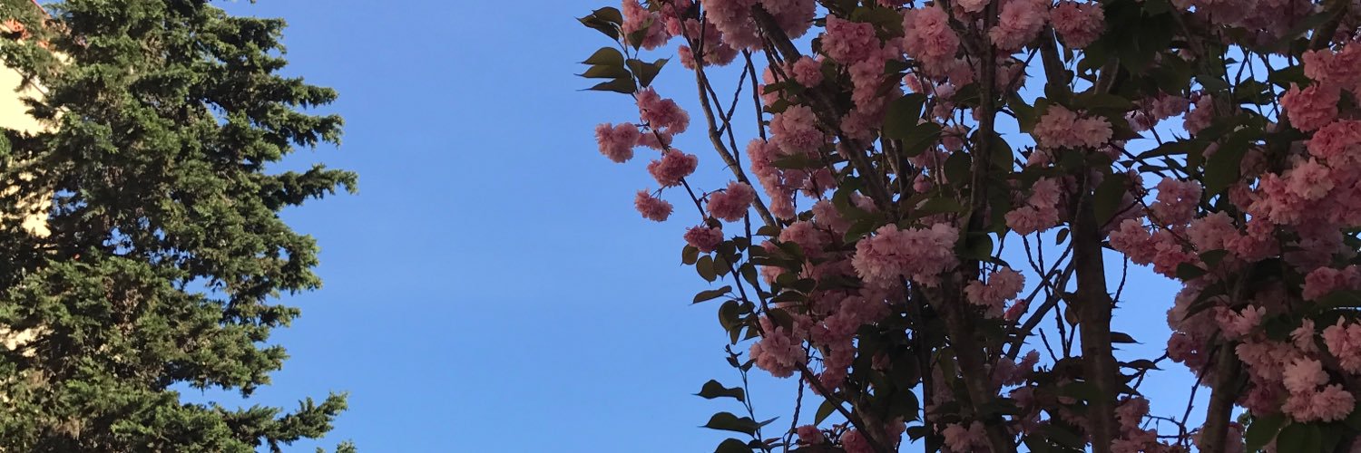 Lea_lagn's profile banner image