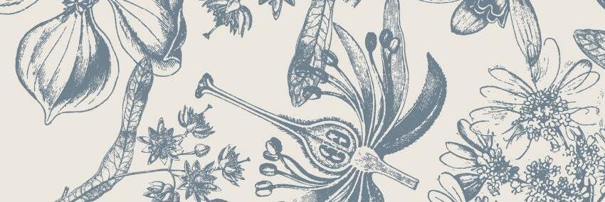 trendipia's profile banner image