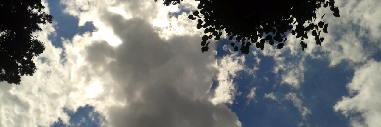 Debbie, die Begleitgiraffe 🦒 banner