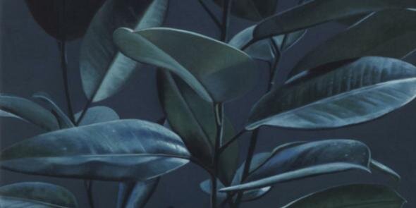 DustLast's profile banner image