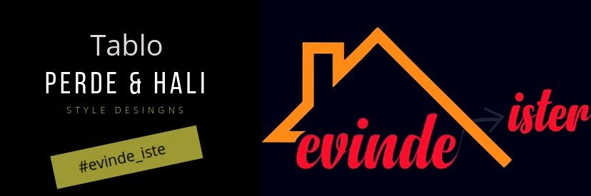 evinde_ister's profile banner image