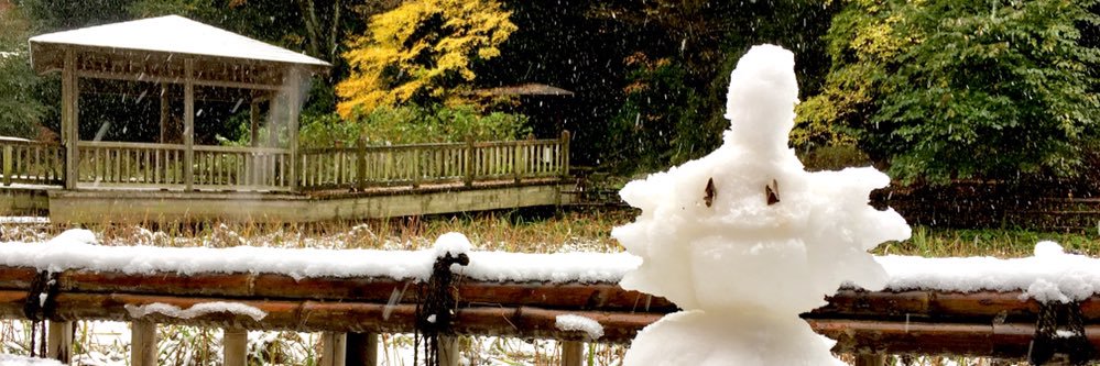 yukichi0's profile banner image