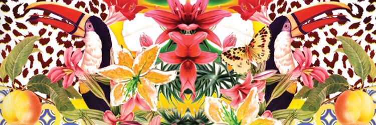 flordebenito's profile banner image