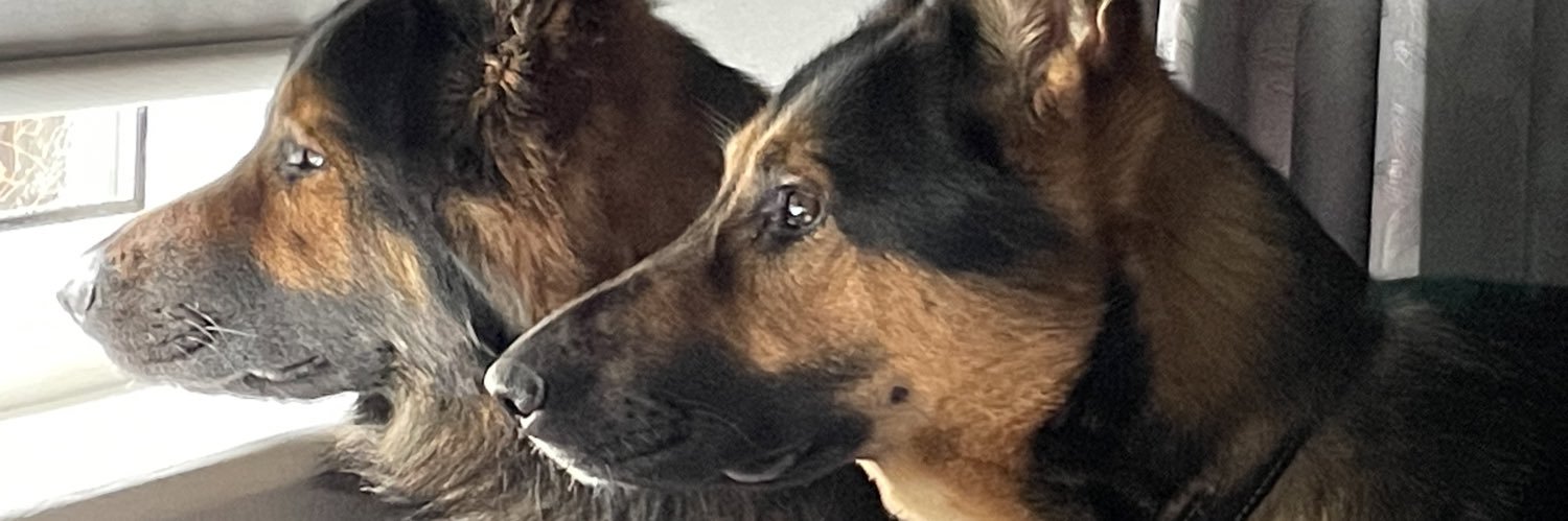muchadokate's profile banner image