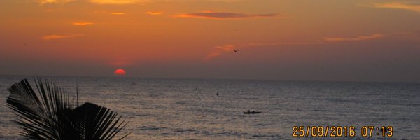 jayati2512 Profile Banner