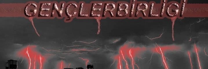 tevhityavuz's profile banner image